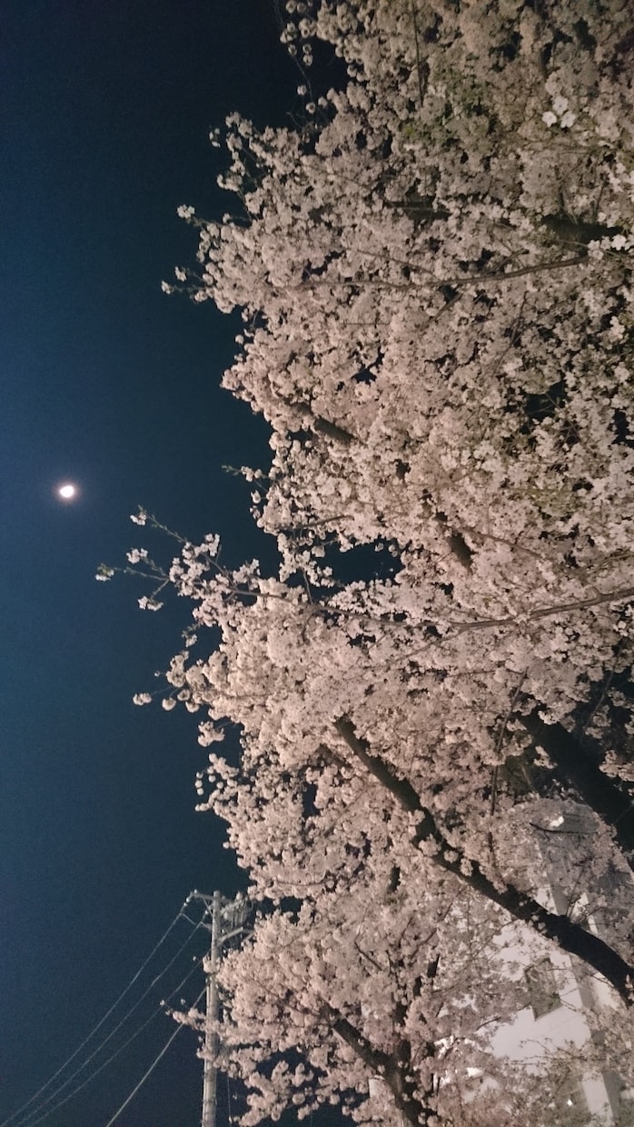 婚活めんどくさい、けどしなきゃ、ご相談のります アラサーカウンセラー、どん底から這い上がりましょう！ イメージ1