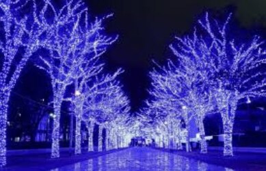 天職☆転職☆人間関係のお悩みを鑑定させて頂きます 的確☆このままでいいのか？転職の時期や人間関係の据から解放！ イメージ6