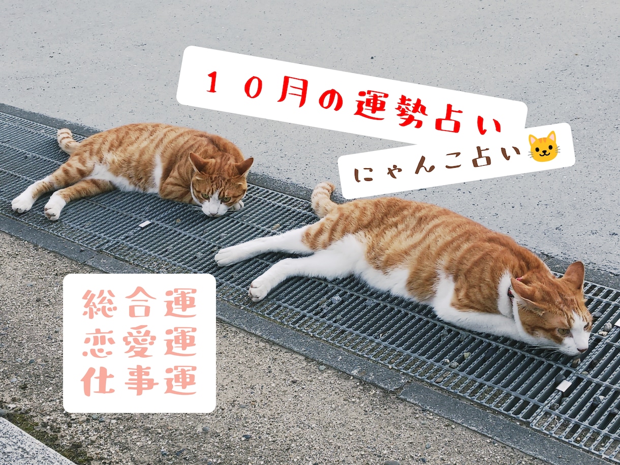 にゃんこ占いでみる10月の運勢＊ほっこり占います 心がふっと軽くなるような、10月の運勢をお届けするにゃよ イメージ1