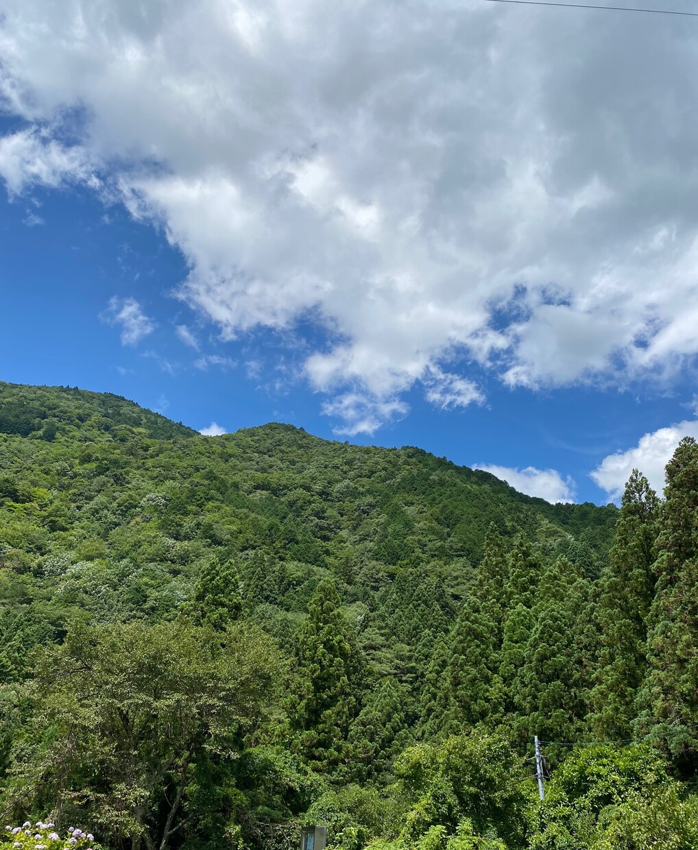 あなたの未来占います あなたの現在未来を占ってアドバイスも占わせていただきます。 イメージ1