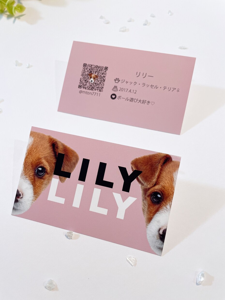 ご家族の可愛いお写真を名刺にします My fam card（マイファムカード）❶／うちの子名刺 イメージ5