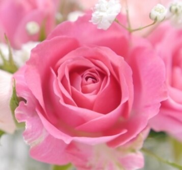リピーター様限定☆約1ヵ月ヒーリング&トークします まったりーのーんびり♡あなたを芯から癒しあたためます♡ イメージ7