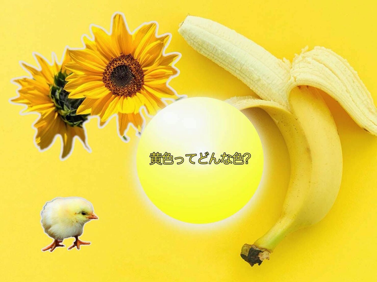 色彩心理士が色を使ってあなたの性格分析を行います カラーカードを使った楽しい分析です イメージ3
