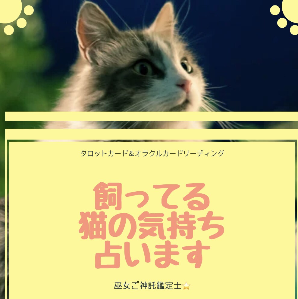 飼ってる猫ちゃんの気持ち占います 愛猫の気持ち知りたくありませんか？ イメージ1