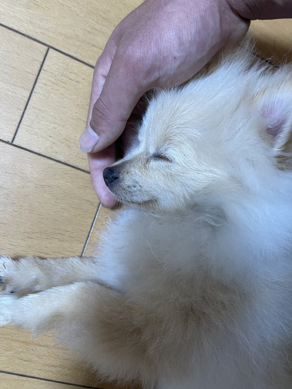 なんでもご相談聞きます 一分でもよかったらご相談ください イメージ1