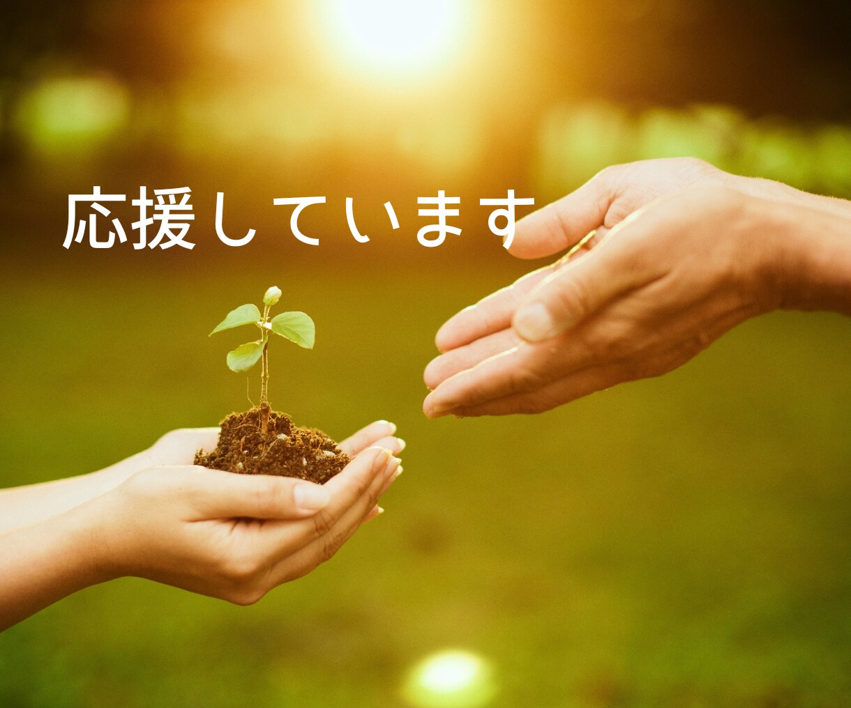 脳科学×身体の動きde感情調整します ぐるぐる思考や感情を身体を使った簡単ワークで新脳回路構築！ イメージ9