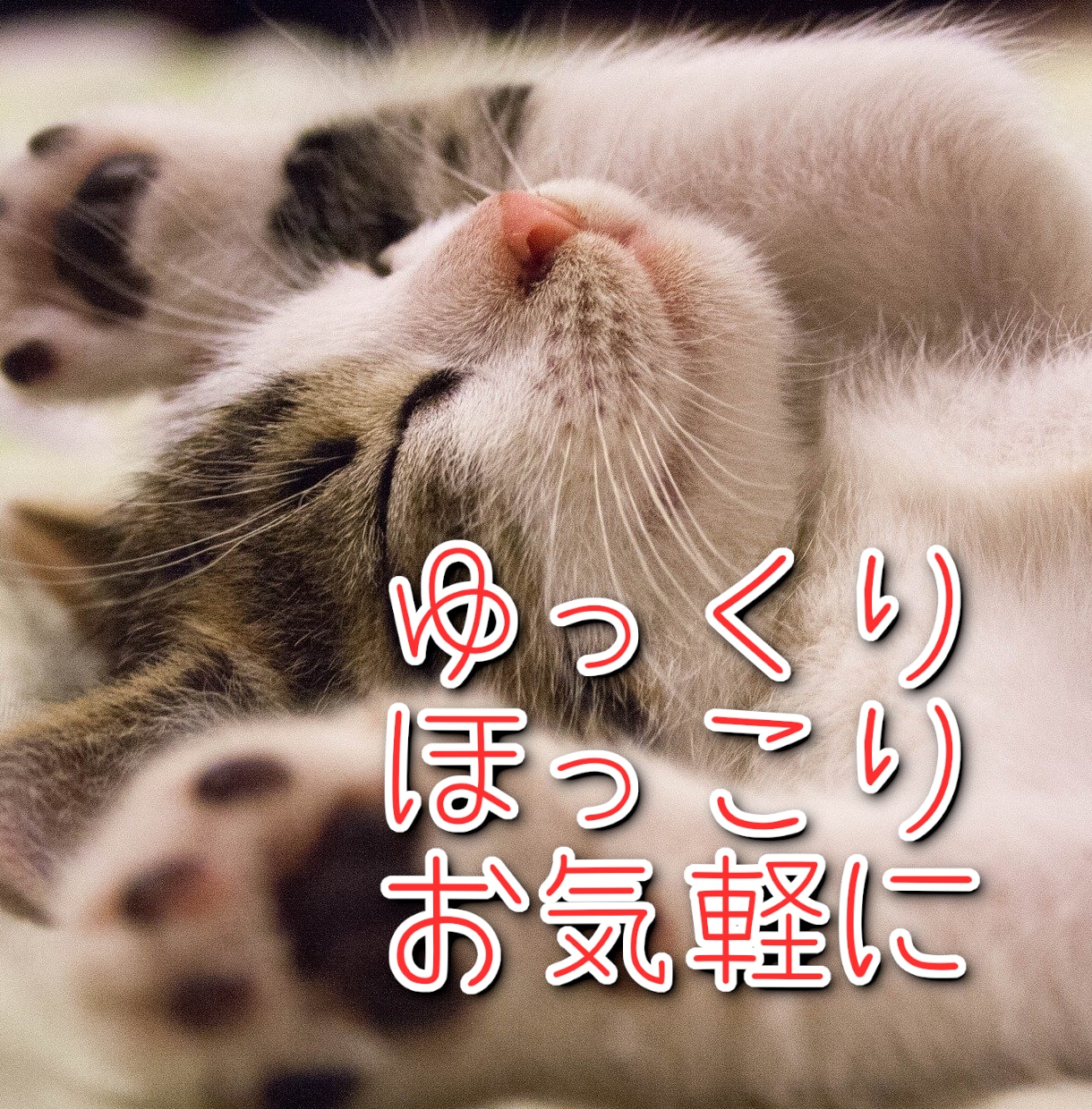 ちょっと聞いてほしい時、優しく、お聞きします 話したい事がある、雑談したい、相談したい、大歓迎です イメージ2