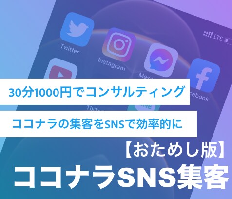 SNSを使ったココナラの集客方法を教えます InstagramやTwitterを使って効率良く案件受注！ イメージ1