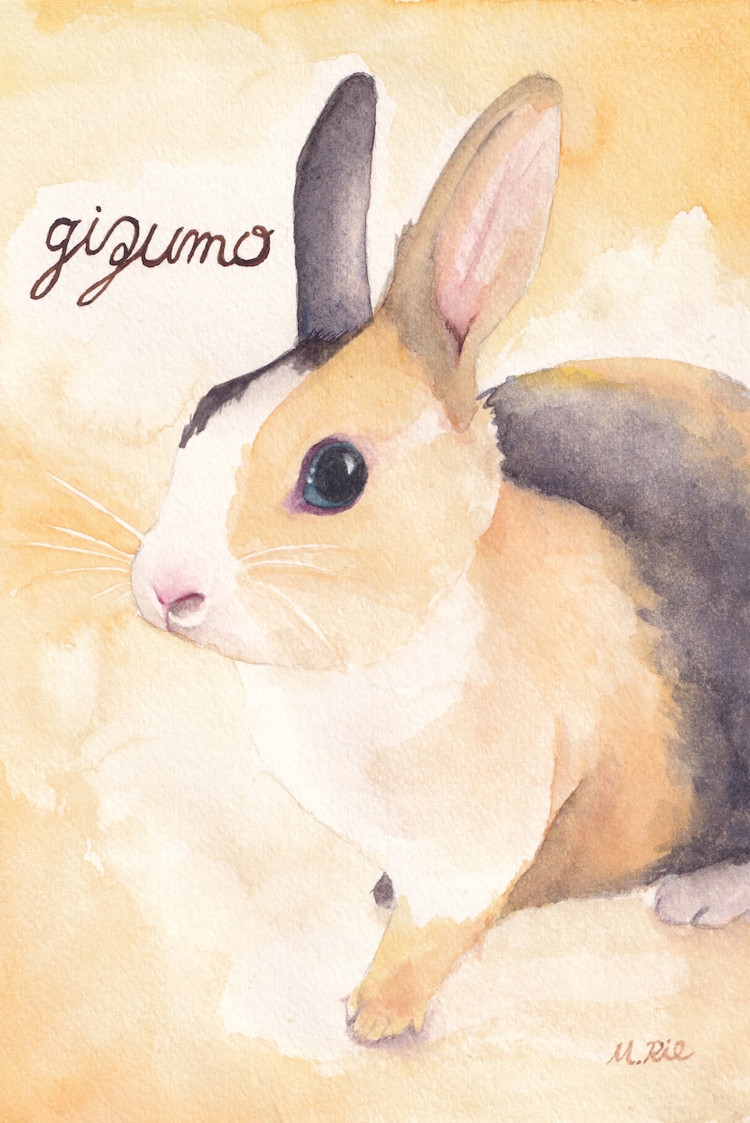 A5～A4サイズで動物ちゃんの似顔絵描きます 水彩でふんわり優しく♬.*ﾟ可愛らしい表情を描きます イメージ6