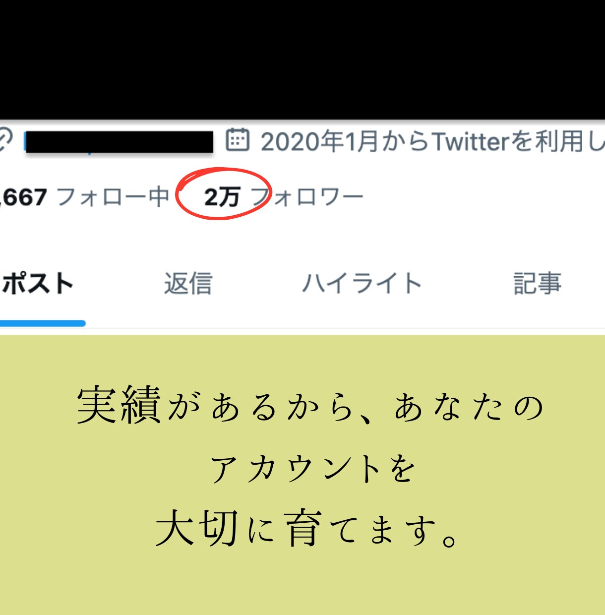 X（旧Twitter）を1ヶ月運用代行します 効率よく宣伝したい個人・企業様向け イメージ2