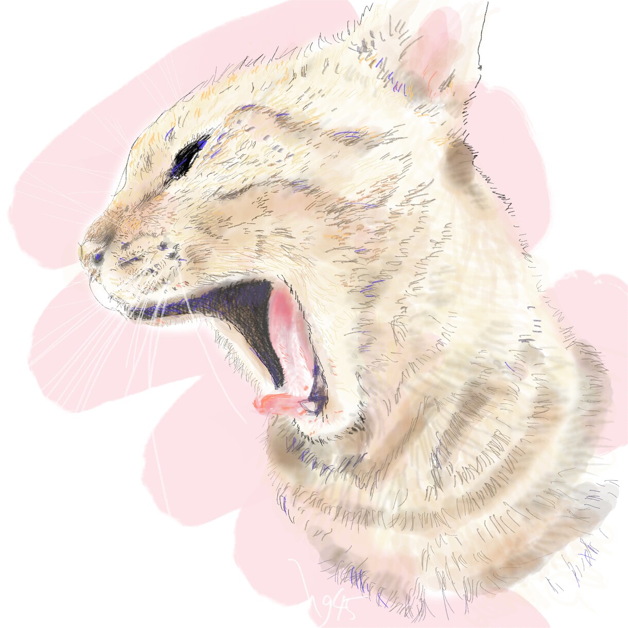 写真から大切なネコちゃんの思い出イラスト作成します 大好きなネコちゃんのオリジナルイラスト作成いたします。 イメージ5