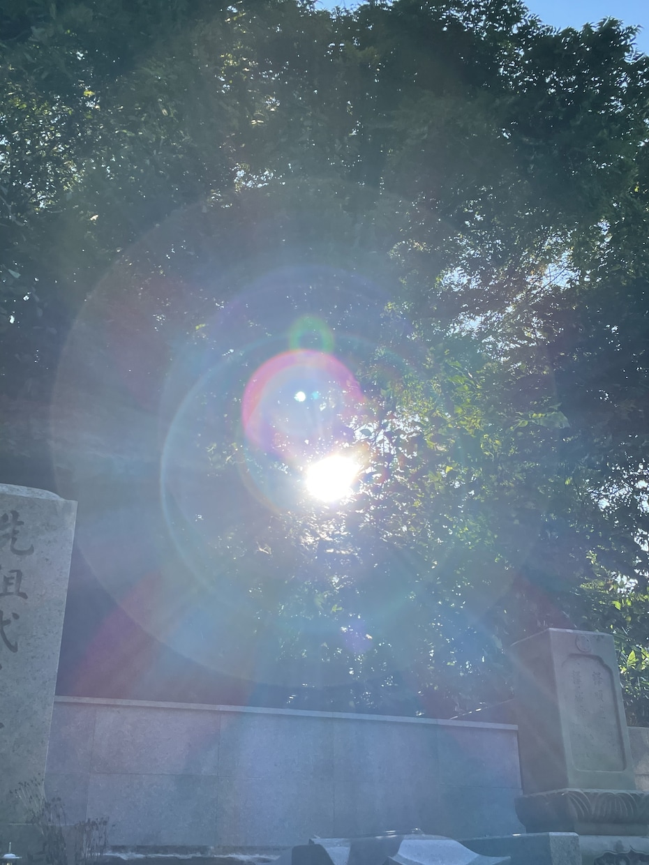 開運画像を販売します 神社やお寺、光、山や川や空、猫の画像で開運のお手伝いします！ イメージ4