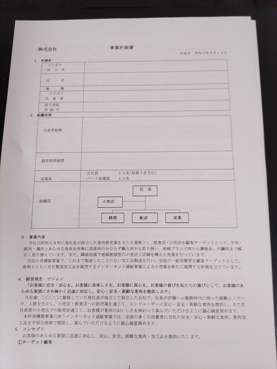 補助金申請、融資向けの事業計画書を作成します 成功へのストーリーが見える事業計画書を作りましょう イメージ1