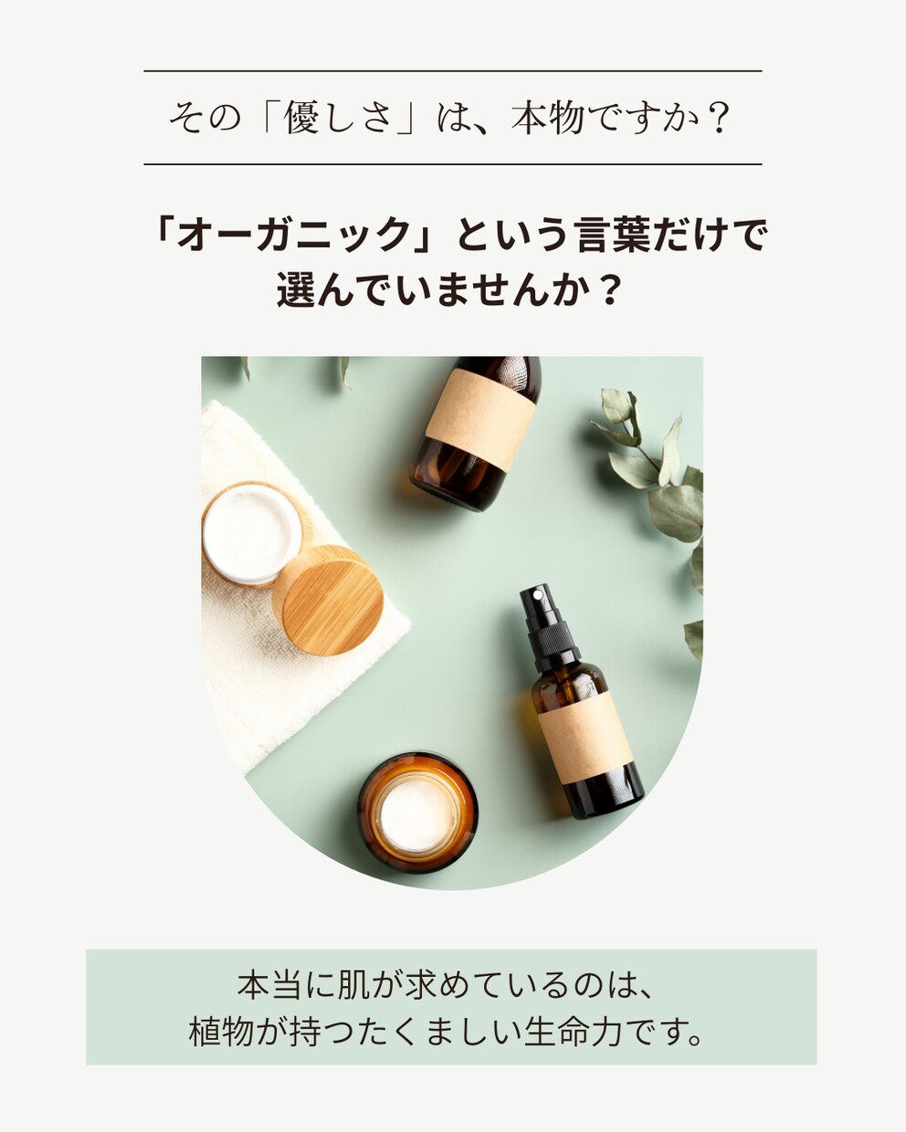 インスタ投稿テンプレート作成します 統一感のある投稿デザインを作れるCanvaテンプレート イメージ3