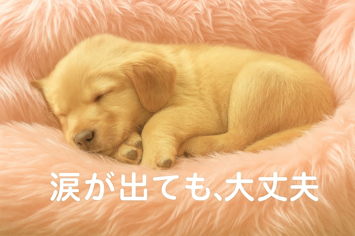 どんなことでも大丈夫。お話・気持ちお聞きします 心の荷物、そっとおろして少し心を軽くしませんか？ イメージ5