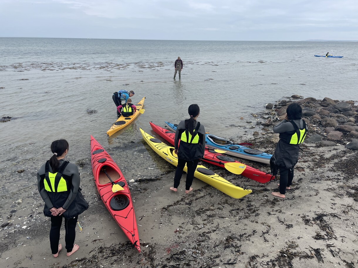デンマーク留学(格安留学)のご相談乗ります フォルケホイスコーレについて具体的にお伝えできます♩ イメージ5