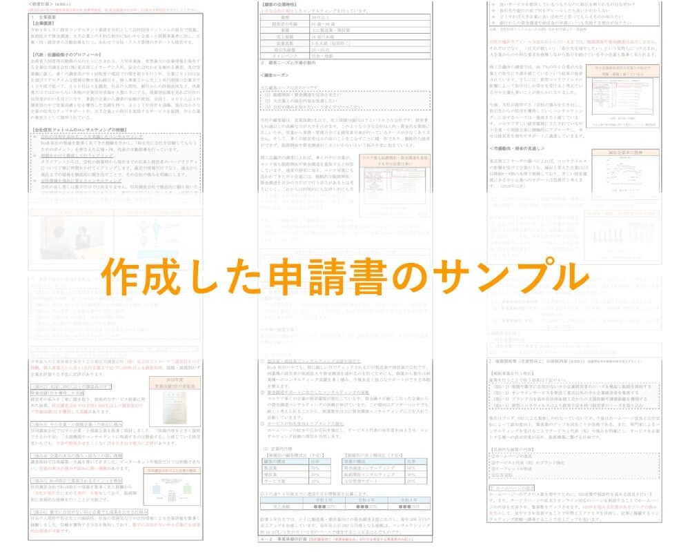 小規模事業者持続化補助金の事業計画書を作成します 【採択実績多数】計画の良さが伝わる様式2の作成を支援します イメージ2
