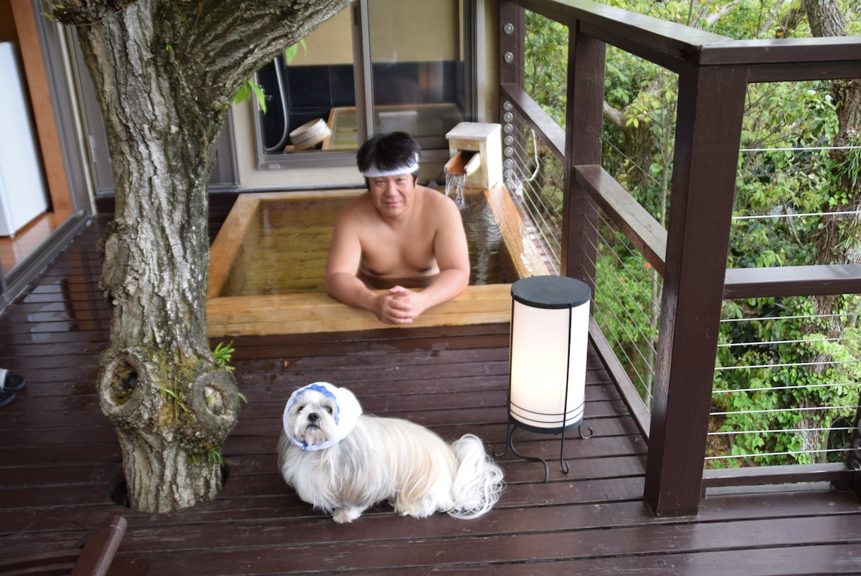 愛犬と優雅な旅ができるよう一緒にプランを考えます もうチープな愛犬旅何てこりごり。愛犬と優雅な旅を望む方限定！ イメージ5