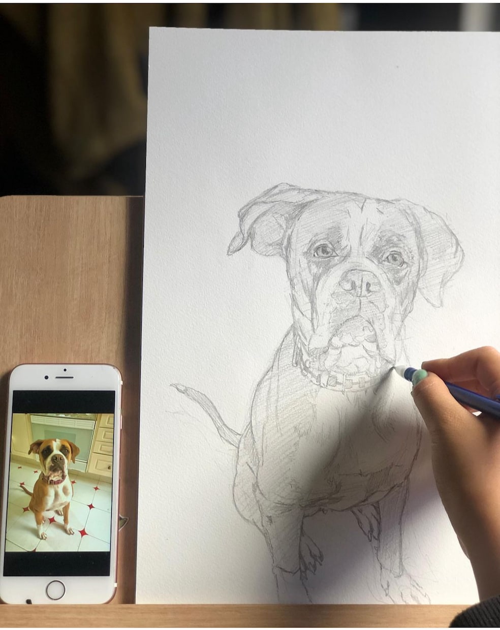 ペット似顔絵描きます 大切なペットを色鮮やかに世界に一つだけのアートを描きます！ イメージ7