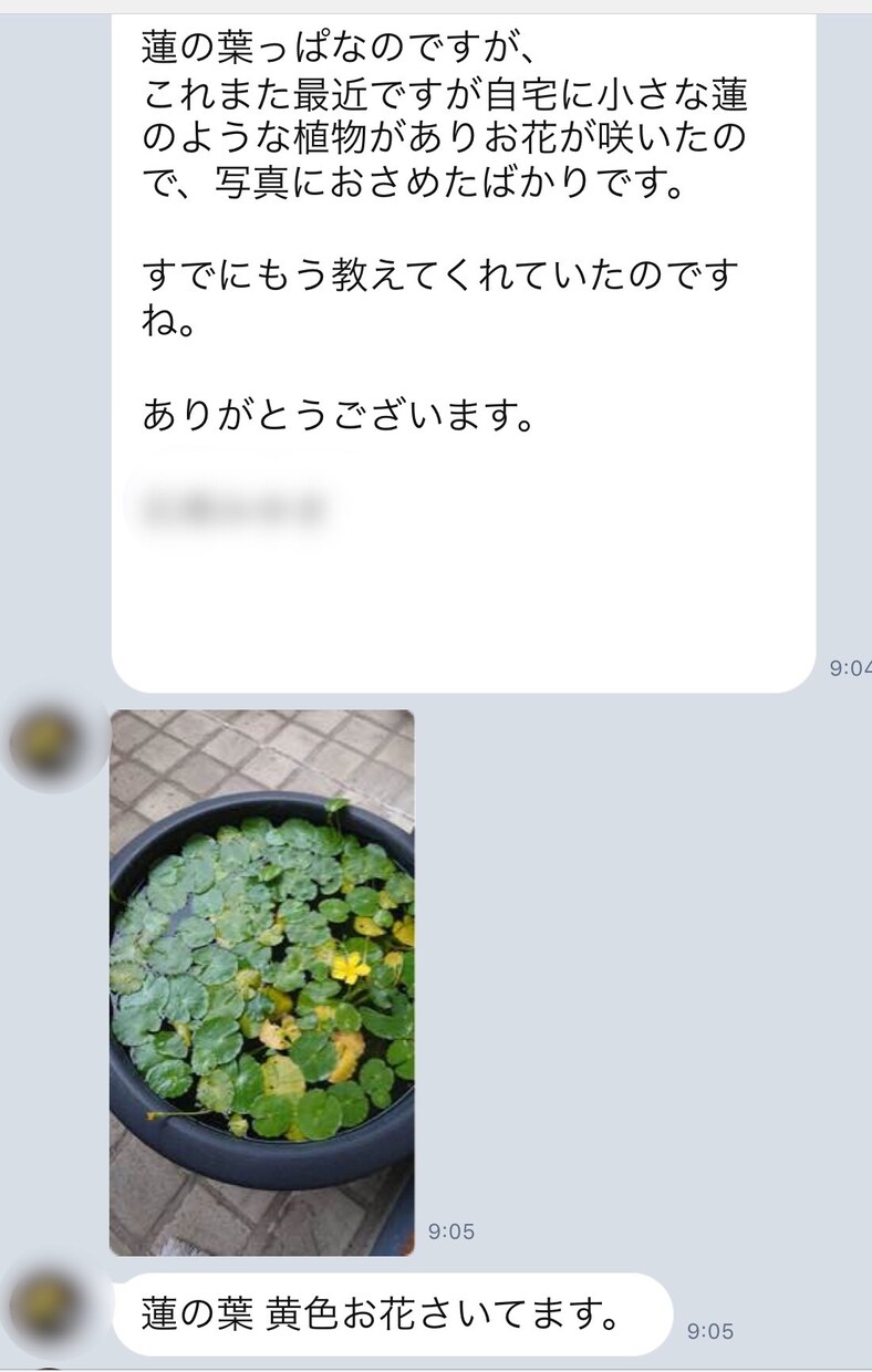 アカシックドラゴンリーディングします 気軽に楽しく、自分の人生を生きたい人だけ来てください イメージ5