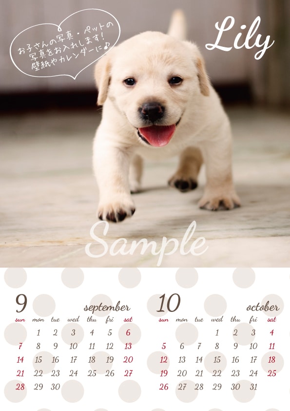  お子様の写真や、ペットの写真で毎月のカレンダーを作ります☆2ヶ月分のカレンダーもOK！ イメージ1