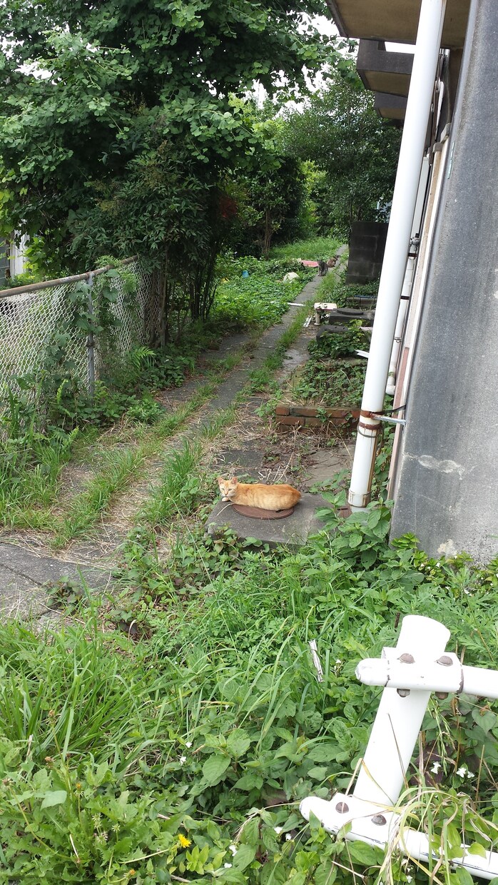 [都内]あなたの気になってる場所の写真を撮ります。 イメージ1