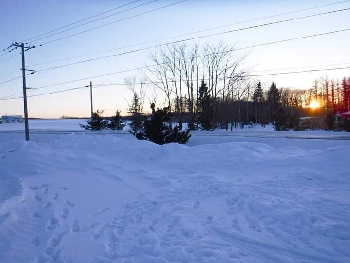 用途不問の背景画像提供します 背景に使えそうな写真を提供します イメージ8