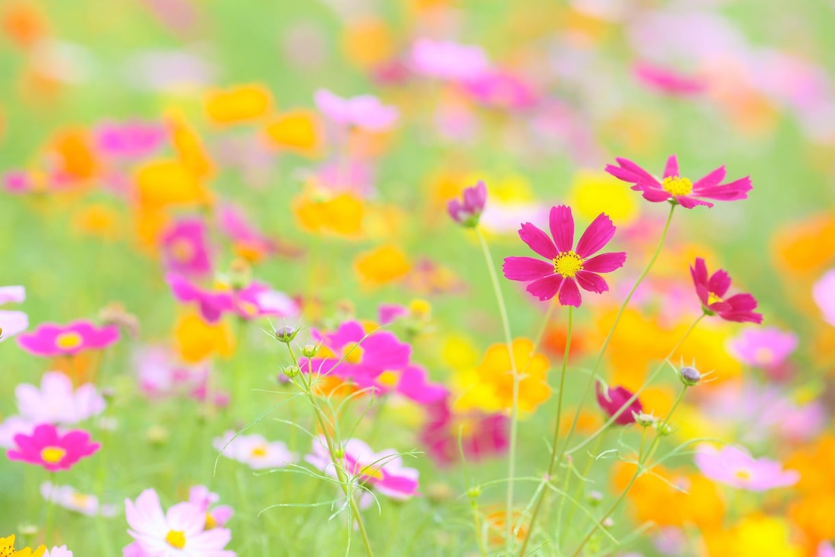 女性限定☆全て肯定！あなたの全部を受け入れます ♡優しくされて、甘えて、癒される。それだけを求めて下さい イメージ7