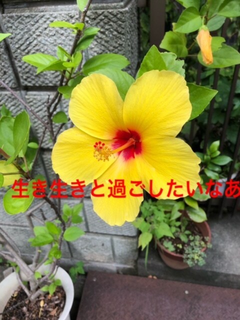 辛い職場での保育士さんの愚痴、相談をお聴きします 子どももあなたも幸せになる保育の仕事を目指して行きましょう イメージ2