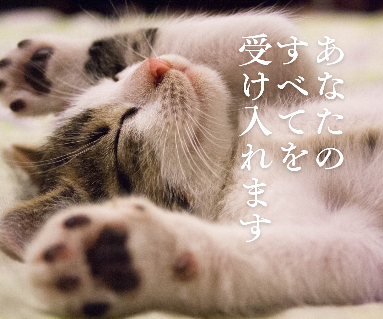 そばにいるよ。心を軽くする会話をします 抱えている思いを取り除いて♡心が前に進むお手伝いをします。 イメージ9