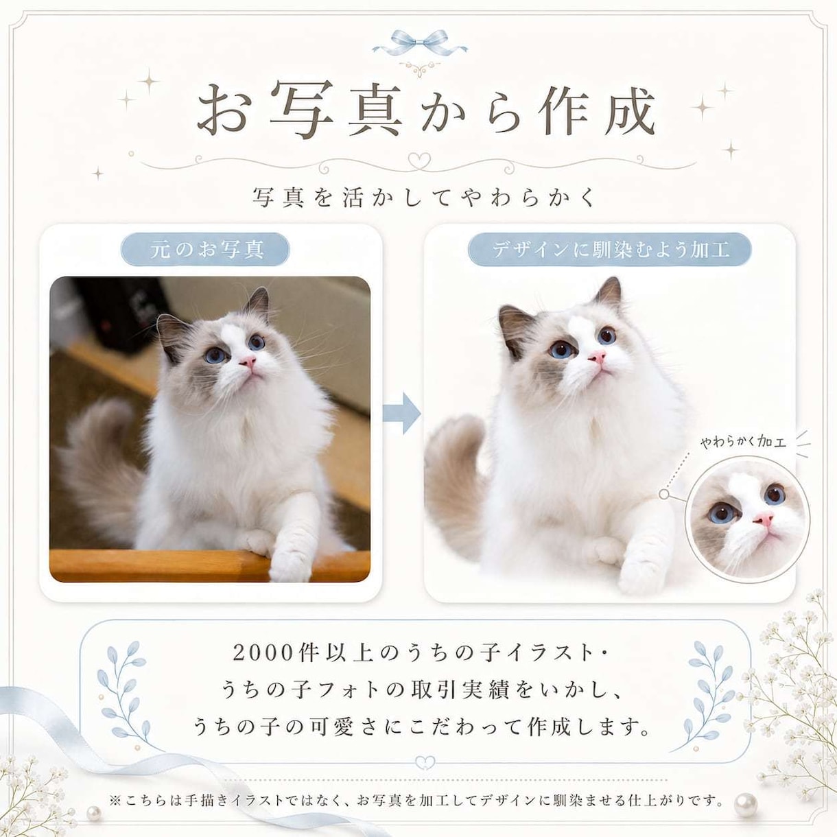 ペット写真入りのうちの子婚姻届を作成します A3提出用♪郵送込み！ペットの可愛さにこだわった婚姻届＊ イメージ4