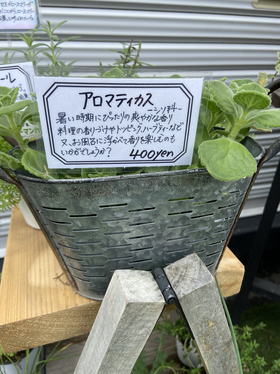 味のある手書きPOPを書きます 長く愛されるPOPが得意です。 イメージ4