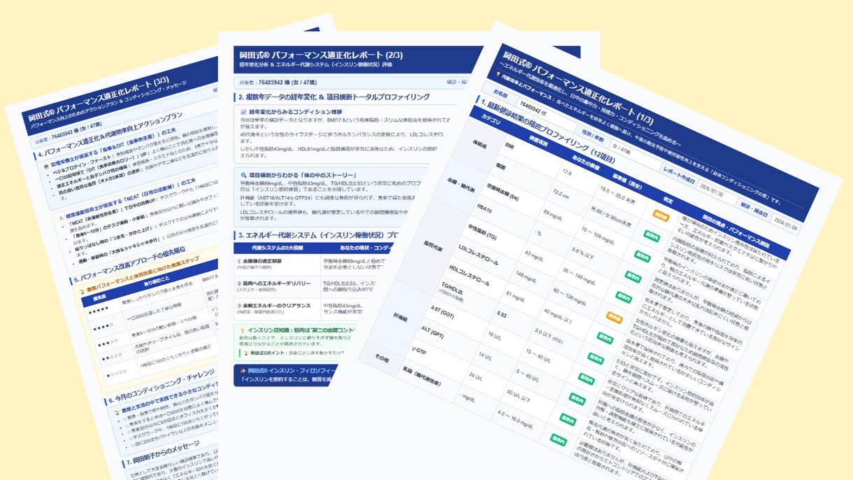 法人向け▪パフォーマンス適正化レポート作成します 社員のパフォーマンスを適正化！面談不要・健診データの送付のみ イメージ1