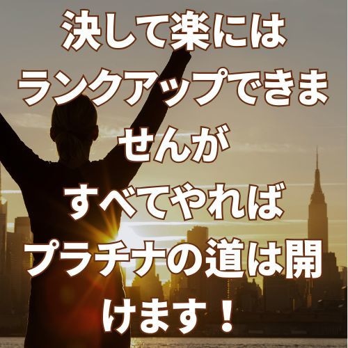 ココナラ売れない!をプラチナ獲った私が解決します 稼げる26の戦略|ココナラのコンサルやアドバイスも相談可 イメージ9