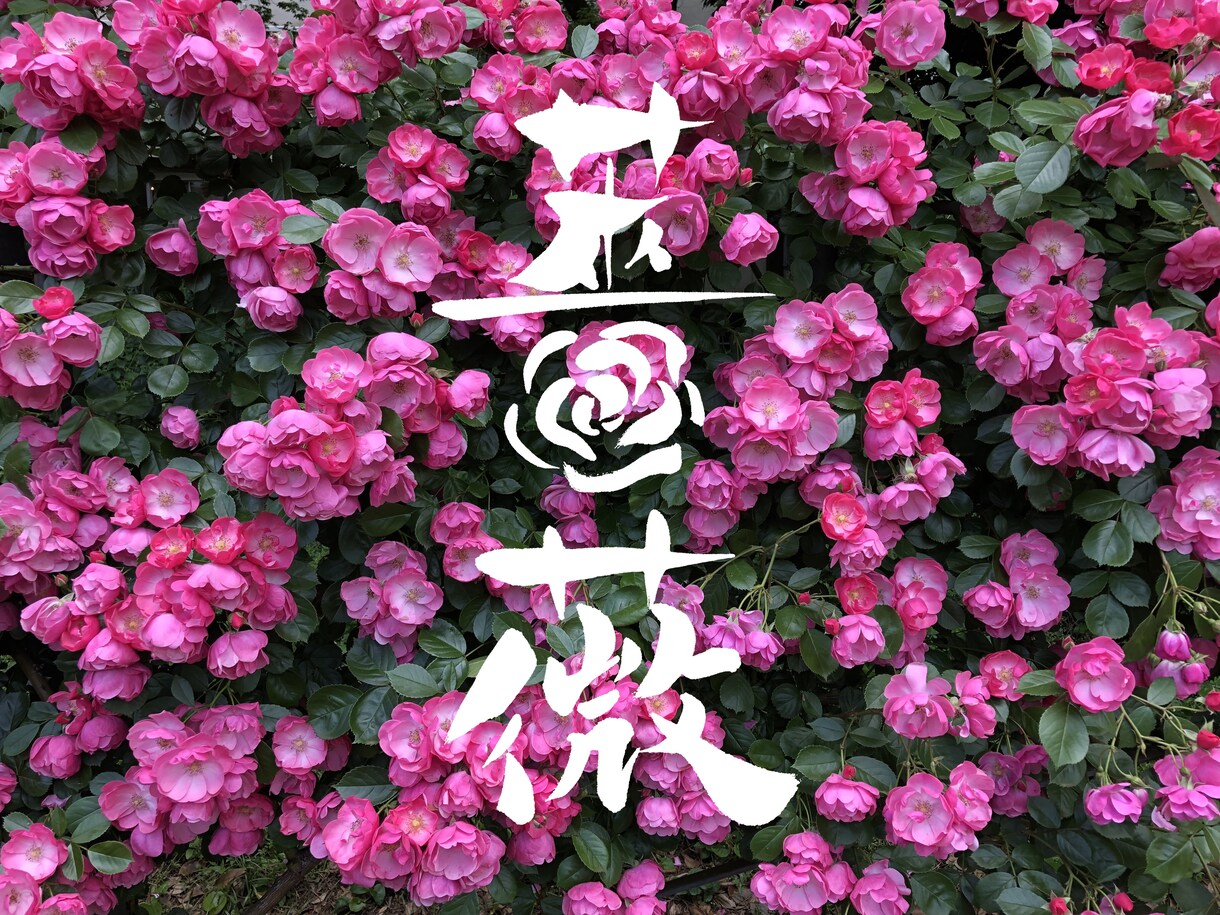 筆文字のデザイン力と書道の技術を活かして制作します ひとつ格上の筆文字を目指します イメージ8