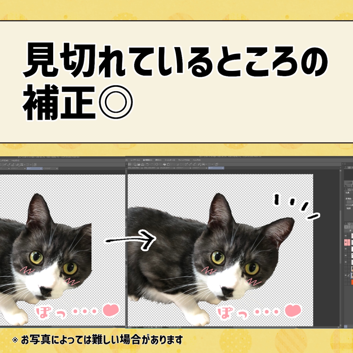 ペットのお写真でLINEスタンプ8個制作します 作成～申請までお任せください♪ イメージ3