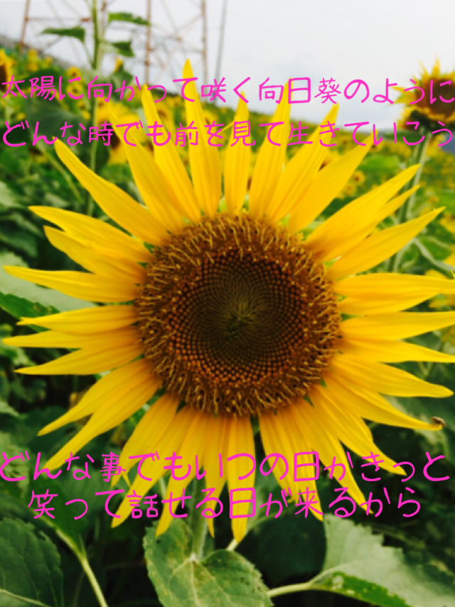 どんなお話でもお聞きします 恋愛，仕事，人間関係…誰にも言えないけど聞いてほしいあなたへ イメージ1