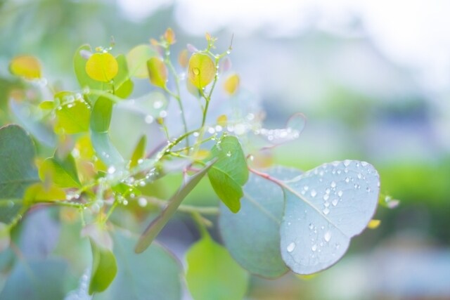ただただ優しいだけ♡厳しさは一切なしで寄り添います 優しいだけを求めにきてください。そばで優しく寄り添うのみです イメージ10