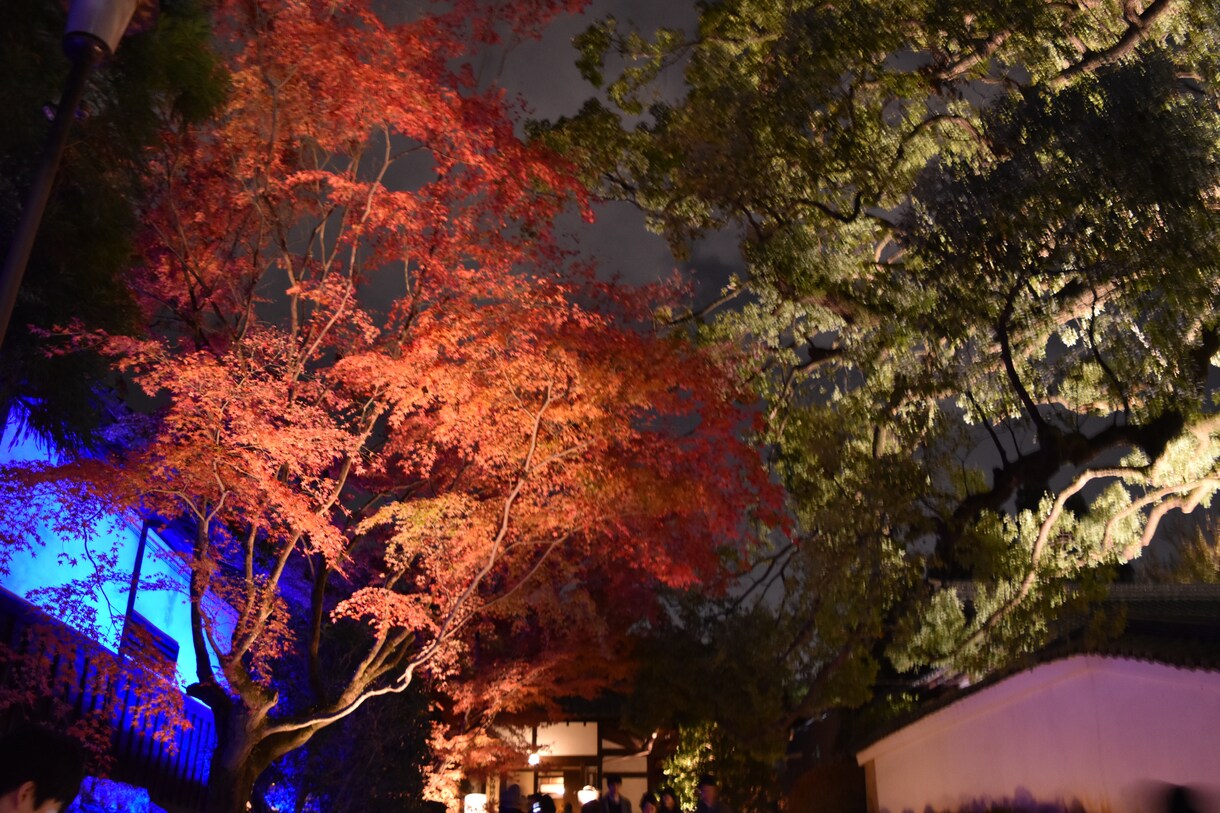 秋の京都観光！教えます 紅葉名所が多数の京都、地元民ならではの選りすぐりの名所紹介！ イメージ2