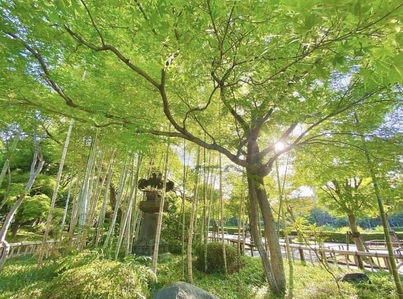 少し話したい時、一緒にお話しします 恋愛/悩み/こんなことがあった！など♪ イメージ7