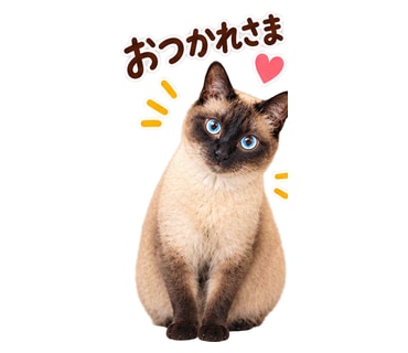 気持ちを理解します 看護師経験を活かし、子育ての悩みに寄り添います イメージ1