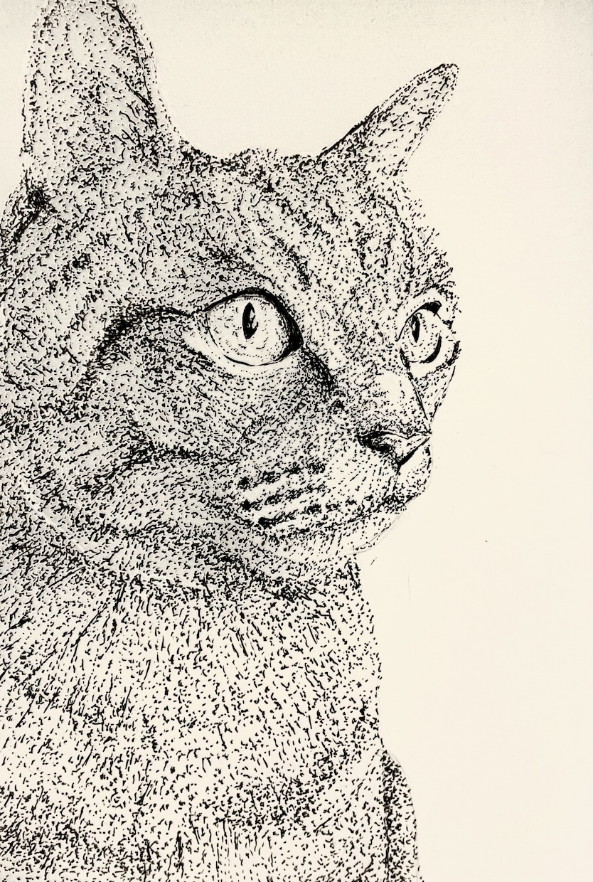 大切なペットの似顔絵を描きますます ボールペン画で家族の思い出残します。 イメージ2