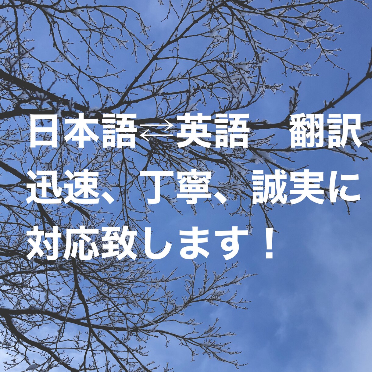 ジャンル問わず英語⇔日本語へ翻訳致します 低価格/迅速/丁寧な翻訳(海外在住8年,TOEIC900点) イメージ1