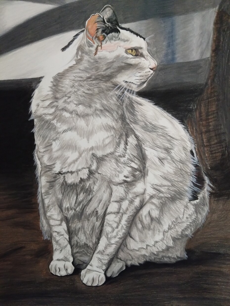 ハッと驚く引き込まれる鮮やかで繊細な絵を描きます 大事な思い出を残したい方やプレゼントにおすすめです。 イメージ4