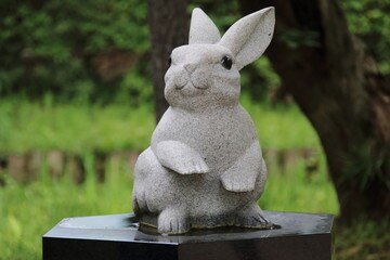 霊視❀身体の声から心と魂の本音を読み解きます あなたの魂に寄り添い、届いている魂の声をお伝えします❀ イメージ11