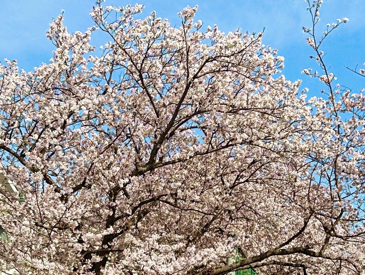 やりたいことができていない？？理由を確かめられます お金がないから？時間がないから？？本当にそうなの？？？ イメージ6