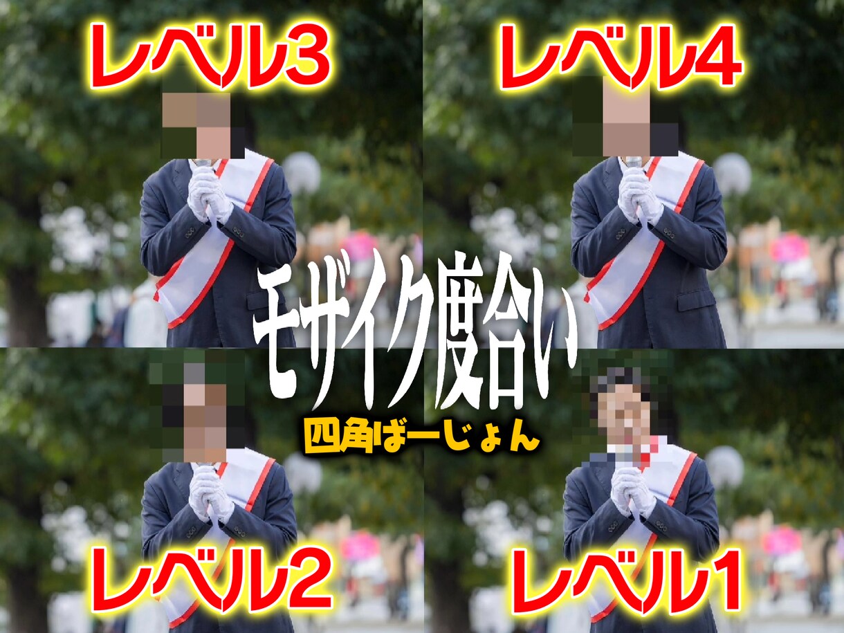 面倒なモザイク処理お手伝いします 追従など手間のかかるモザイク処理、お任せ下さい！ イメージ3
