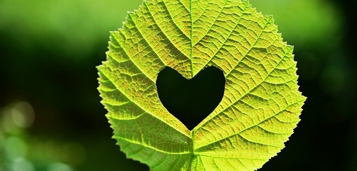 モテるようになる最強のテクニック教えます まず何をすればいいか迷っている人向け イメージ10