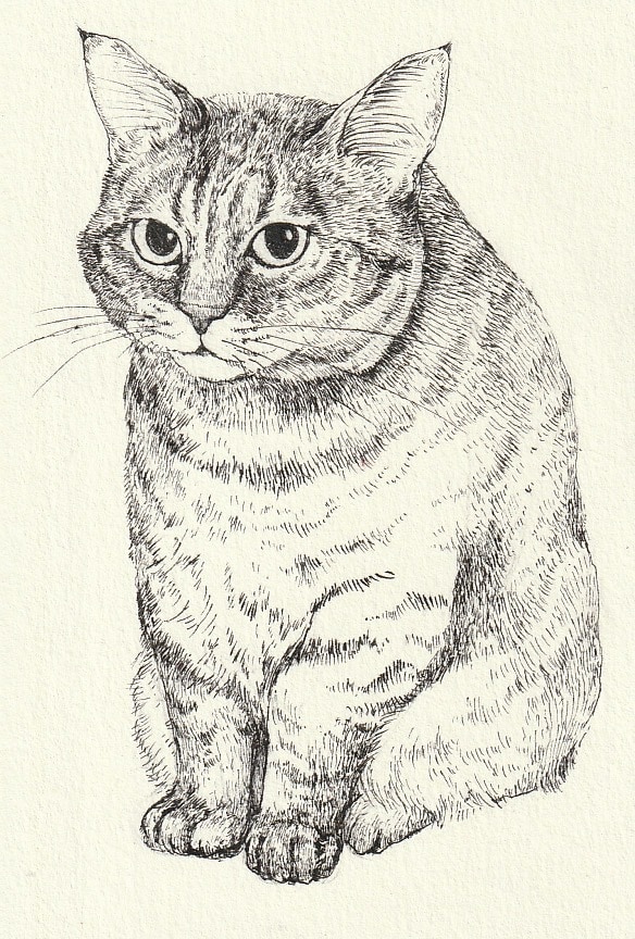 ペットの細密なペン画を描きます 大切なペットの可愛い表情を絵にしてみませんか イメージ1