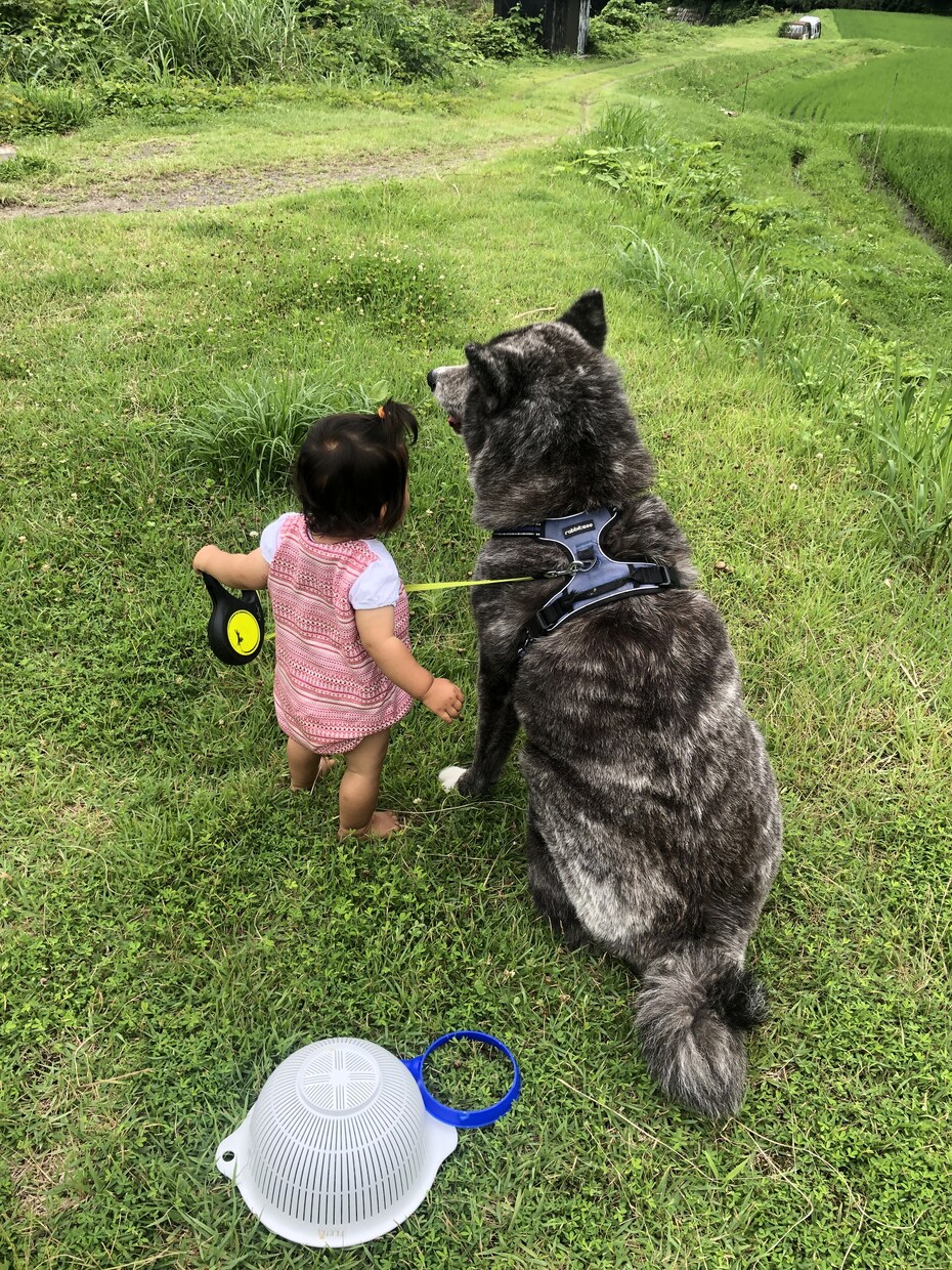 中卒社長があなたのお悩みを解決致します 中卒、糖尿病、いじめられっ子でも幸せになれたコツをバラします イメージ3